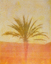Douglas Mandry, Sans Titre (Tricolor VII), from the series Les Archives de la Planète