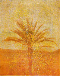 Douglas Mandry, Sans Titre (Tricolor VIII), from the series Les Archives de la Planète