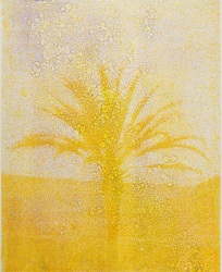 Douglas Mandry, Sans Titre (Tricolor IX), from the series Les Archives de la Planète