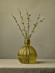 Tessa Posthuma de Boer, Offspring No.3