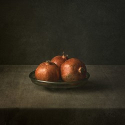 Tessa Posthuma de Boer, Lamaris