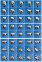 Katrin Korfmann, The Turn