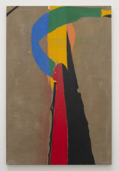 Koen van den Broek, Multicolor