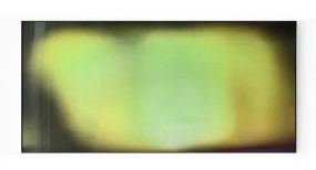 Jens Buis, Echus (Sync IV)