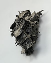 Pim Palsgraaf, Mycose city 44