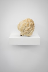 Fabiola Burgos Labra, Artichoke