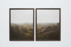 Jeroen Hofman, Diptych, Wassenaar