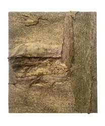 Luc Vandervelde Lux, Untitled, MTLA 018/Meise