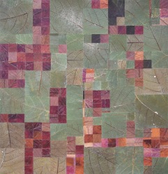 Milah van Zuilen, Fig trees and wild cherry trees