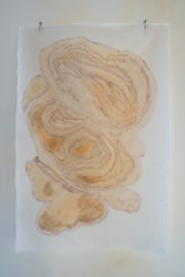 AYO, Scoring a homestead