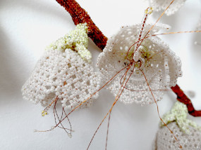 Regula Maria Müller, ' UME '