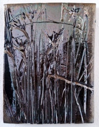 Krijn Kroes, The Seed I