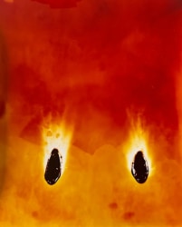 Federica Belli, I Wanted to Burn so I Burnt my Own Self II