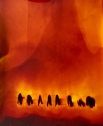 Federica Belli, I Wanted to Burn but the World is Already on Fire, I