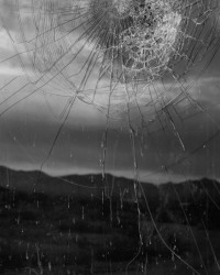 Bryan Schutmaat, Broken Window