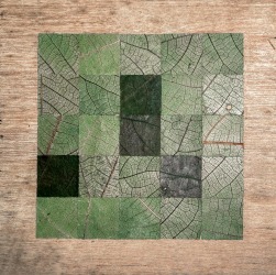 Milah van Zuilen, Vijg