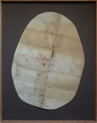 Ilse Pierard, CELL11225