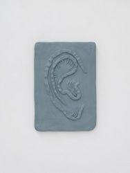 Alice Vanderschoot, Ear