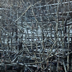 Jef Gysen, The woods