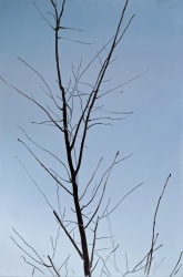 Sam Werkhoven, Interlude 7