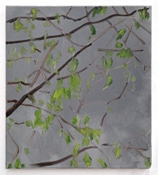 Sam Werkhoven, In April 2