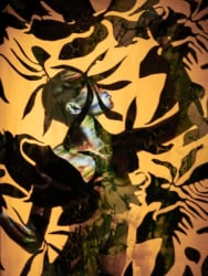 Carli Hermès, Distortion - Rabia