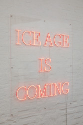 Margriet van Weenen, ICE AGE IS COMING Sailing home in conversation with Louise A. Boyd.
