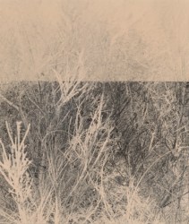 Esmee van Zeeventer, Duinen welvend