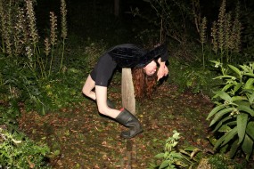 Sander Dekker, Natural Contortion