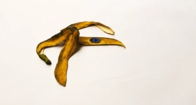 Jessi Strixner, Banana Lying