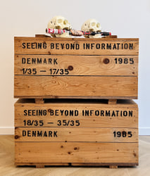 Denmark, Seeing beyond information