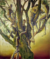 Anthony Goicolea, Canopy