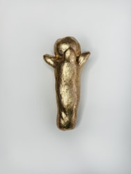 Laura De Coninck, Carnation