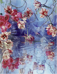 Margriet Smulders, Dragonfly