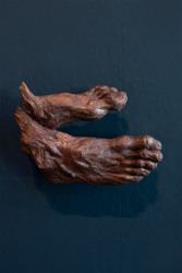 Amol K Patil, The Shadow of Luster