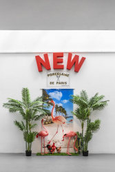 Guillaume Bijl, Sorry