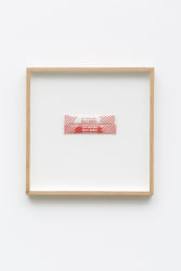 Camila Oliveira Fairclough, Sucre