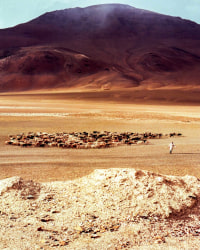 Aaryan Sinha, The Silk Road