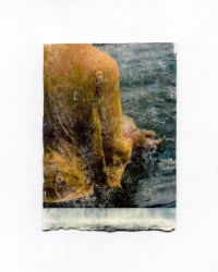 Aaryan Sinha, Offerings