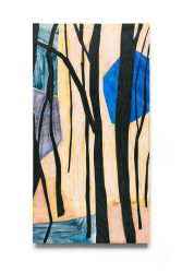 Dorine van der Ploeg, Projectie III