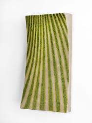 Beppe Kessler, Greens