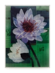 Martijn Hesseling, Cleo & Melaena