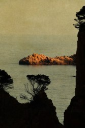 Albarrán Cabrera, The Mouth of Krishna SE #60775