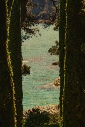 Albarrán Cabrera, The Mouth of Krishna SE #60535