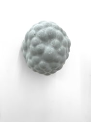 Hester Oerlemans, BLOB