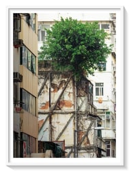 Romain Jacquet-Lagrèze, 23 Temple Street, Hong Kong, 2018