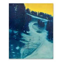 Joris Veltman, Ski slope No.3 (We drenched the mountain in champagne light)