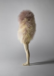 Andreas Senoner, Moulting