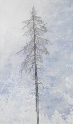 Sandra Kruisbrink, Serie Vanishing trees -  IX, Willingen Upland