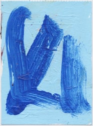 Anouk van Zwieten, Two shades of Blue